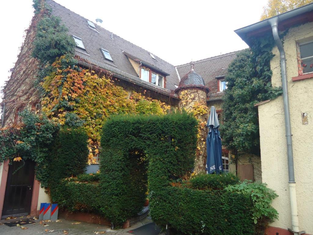 Hotel Burg-Stuben Moguncja Zewnętrze zdjęcie
